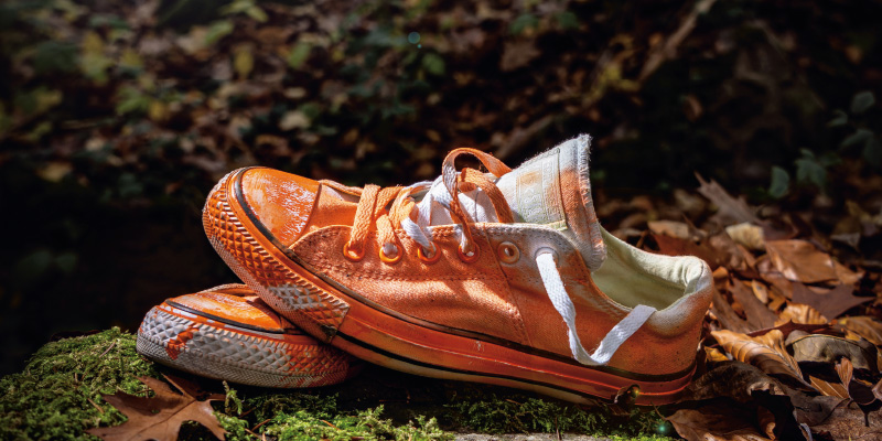 Ein Paar orangefarbene Chucks liegt im Laub im Wald